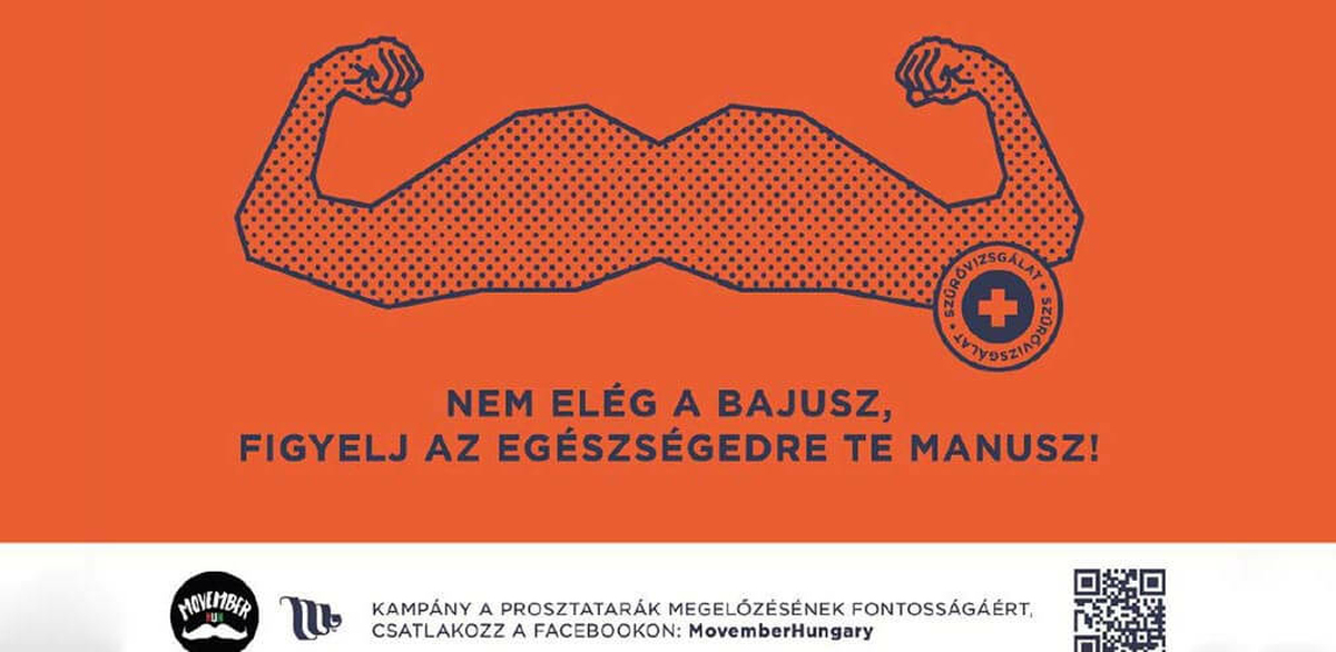 Bajusz. Movember 2014. Hétvége. Programok.