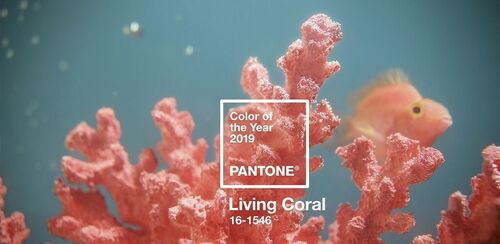 Egyszerre naiv és bölcs döntés korall vörösre színezni a világ 2019-es évét!