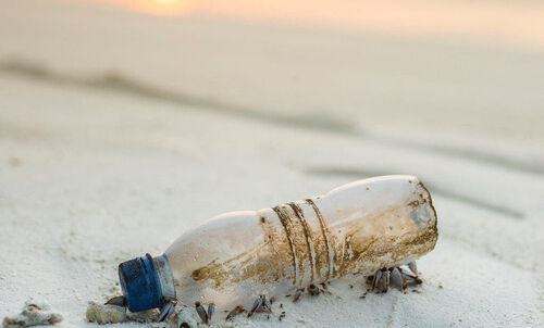 Évente 2,5 milliárd dollár - ennyibe kerül a világnak az óceánokban lévő műanyagszemét