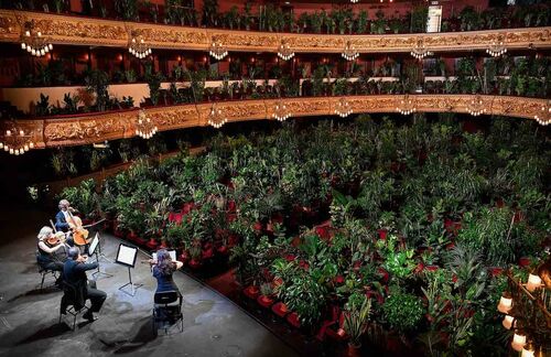 Növényeknek adott koncerttel nyitott újra a barcelonai opera