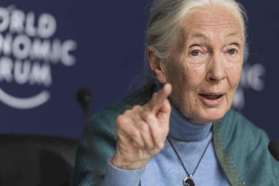 Jane Goodall - Koronavírus után