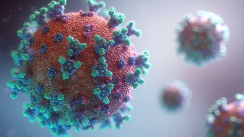 A koronavírus évtizedeken át terjedhetett észrevétlenül a denevérekben