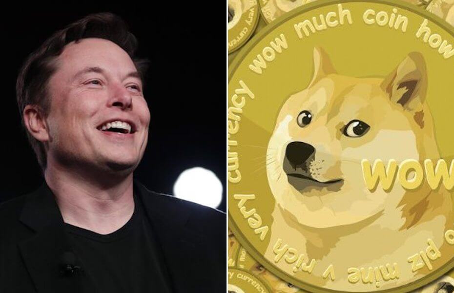 Elon Musk - Dogecoin