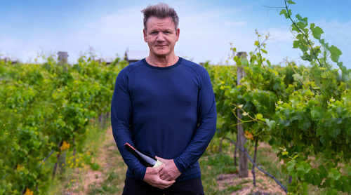 Gordon Ramsay bemutatta saját bormárkáját - a kaliforniai borokat a világ legjobbjai közé emelné