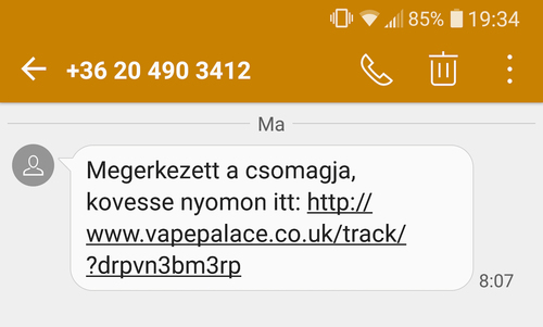 1700 SMS egyetlen mobilról - mit tegyél, ha megnyitottad az SMS-vírust?