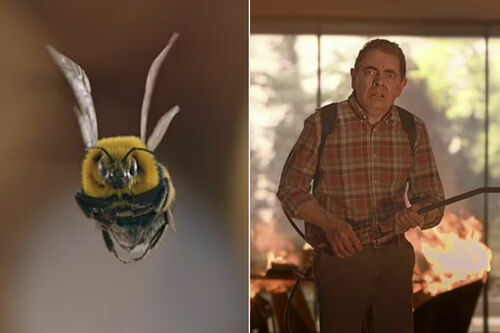 Rowan Atkinson egy bosszantó méh ellen harcol a Netflixen