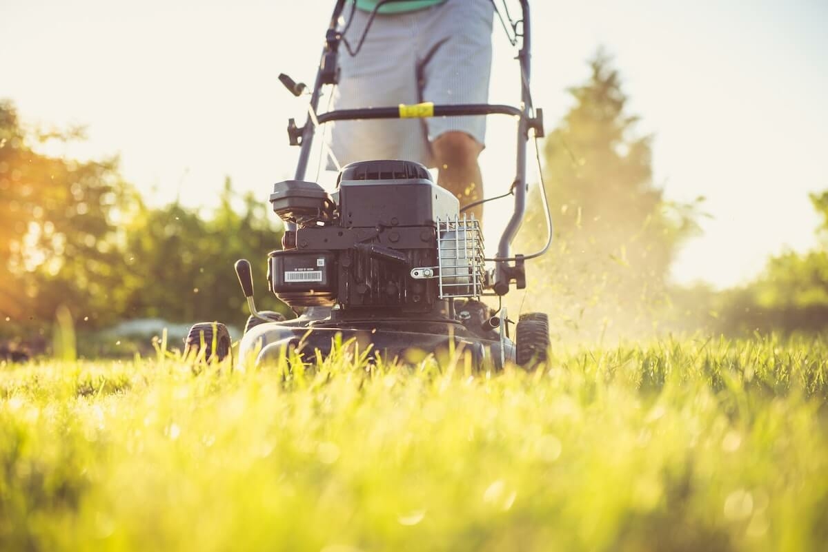 Benzines, elektromos, akkumulátoros, robot: hogyan válassz fűnyírót?