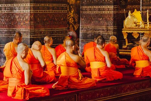 A meditáció a buddhista szerzetesek bélflóráját is megváltoztatja