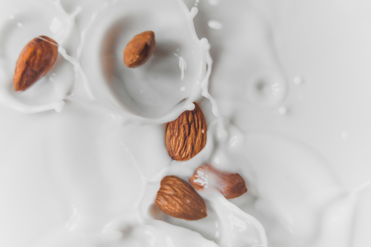 növényi tej - egészség - táplálkozás - online férfimagazin