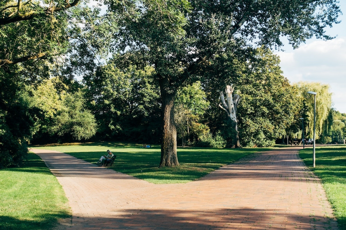 A fiatalság forrása lehet a lakóhelyedhez közeli park