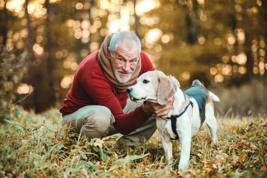 kutya - háziállat - egészség - mentális erő - online férfimagazin