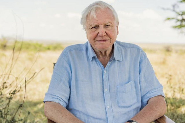 98 éves David Attenborough: 15 tény, amit nem tudtál róla