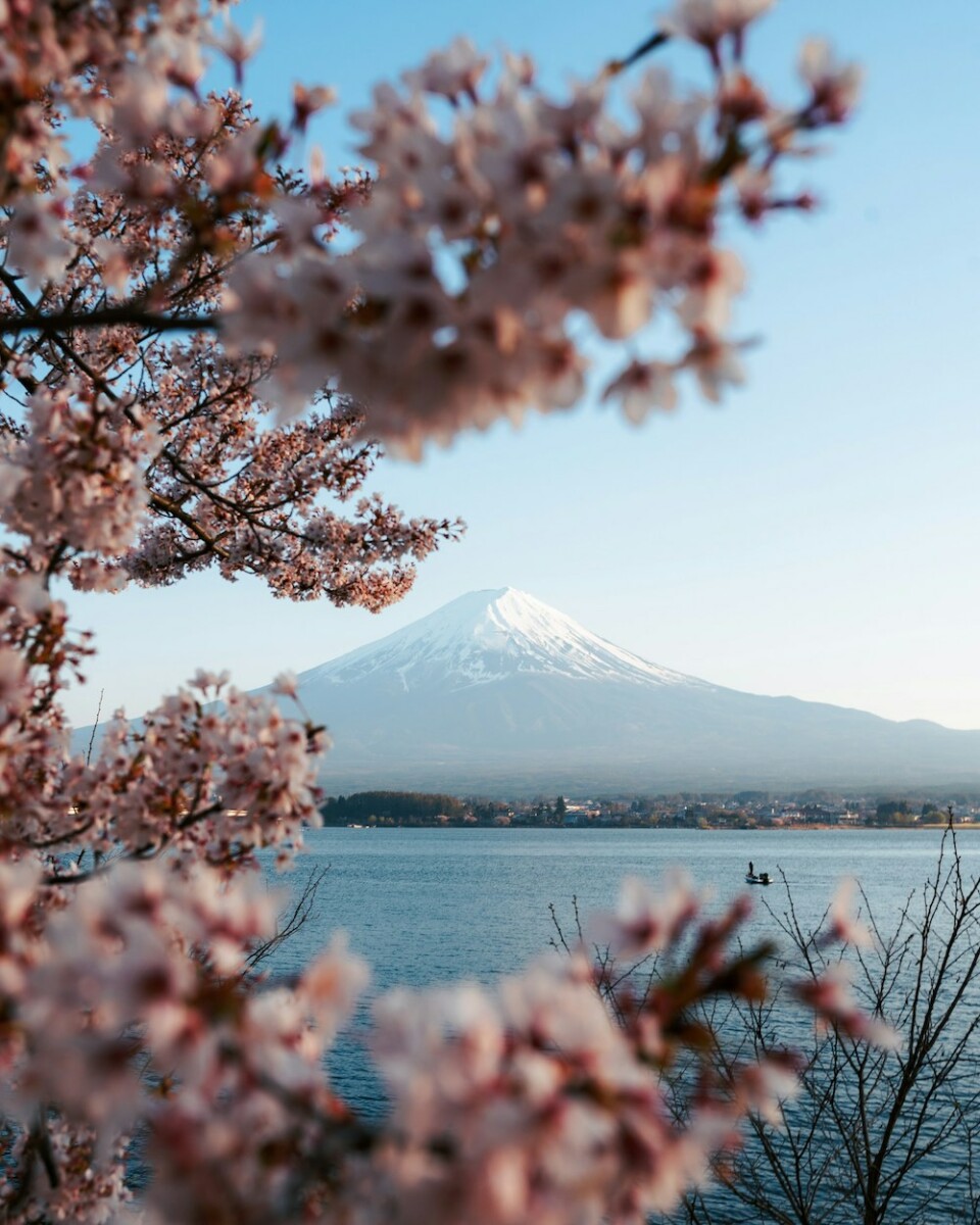 fudzsi - japán - utazás