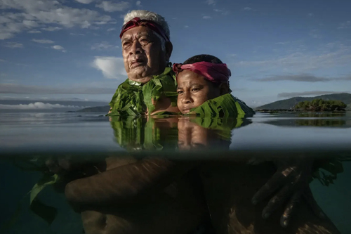 Megnyílt a World Press Photo kiállítás a Biodómban