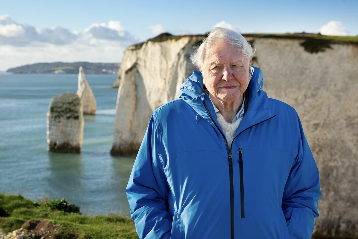 David Attenborough minden eddiginél erősebb üzenetet küldött a világnak