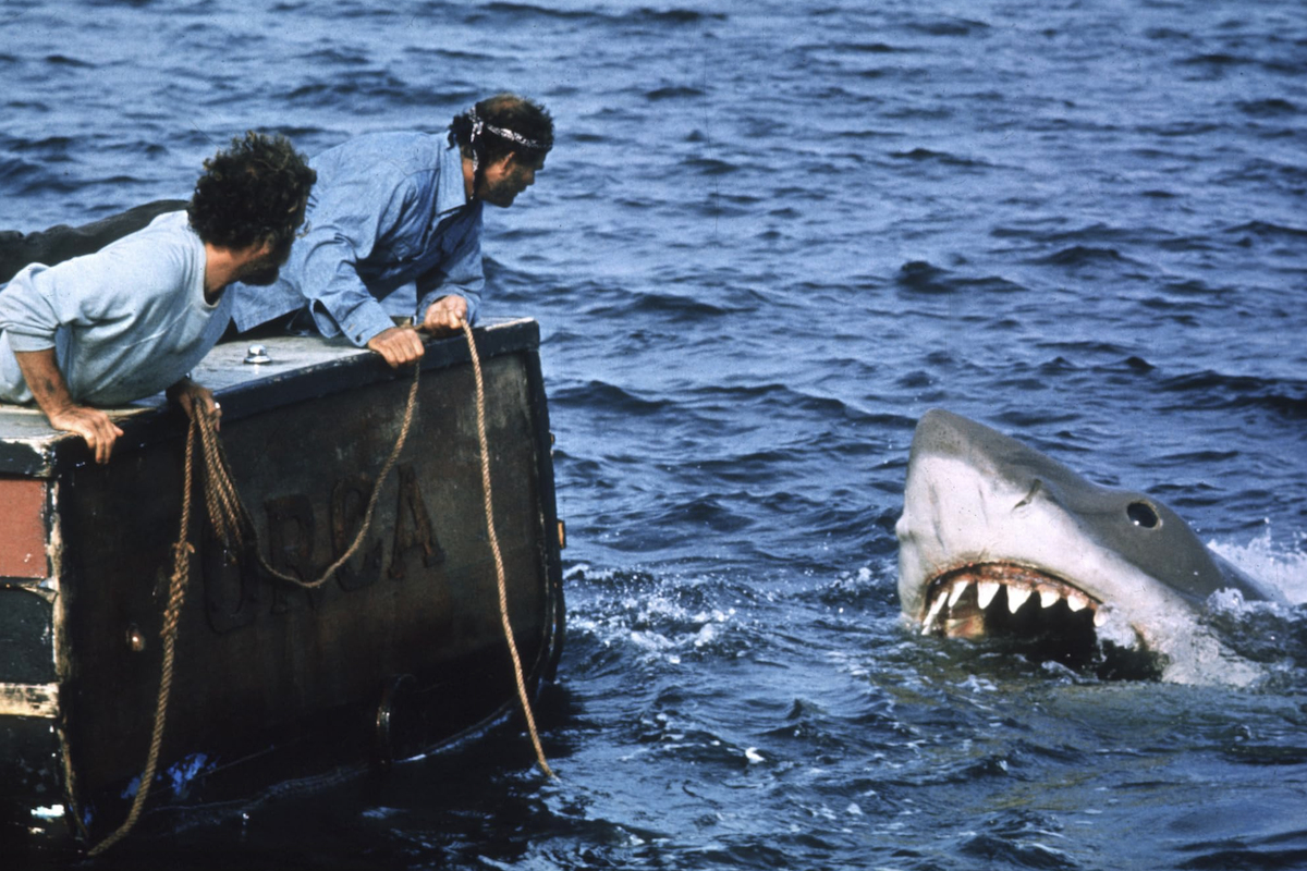 50 éve rettegünk tőle – de lehet, hogy Spielberg cápája az igazi áldozat?