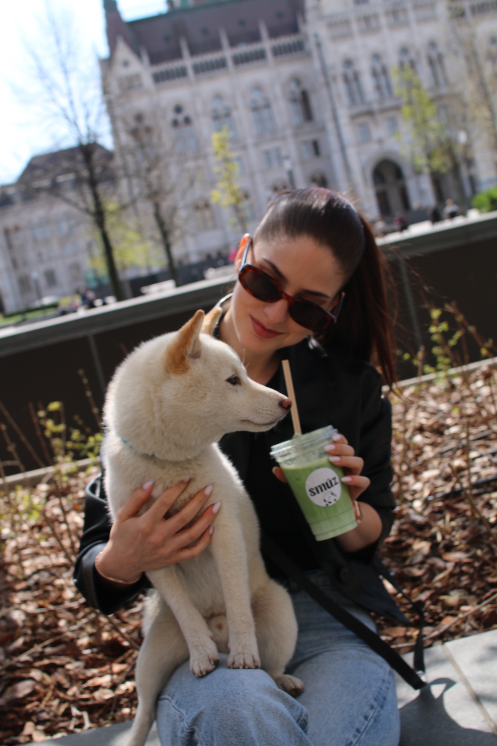 smuz cafe budapest parlament