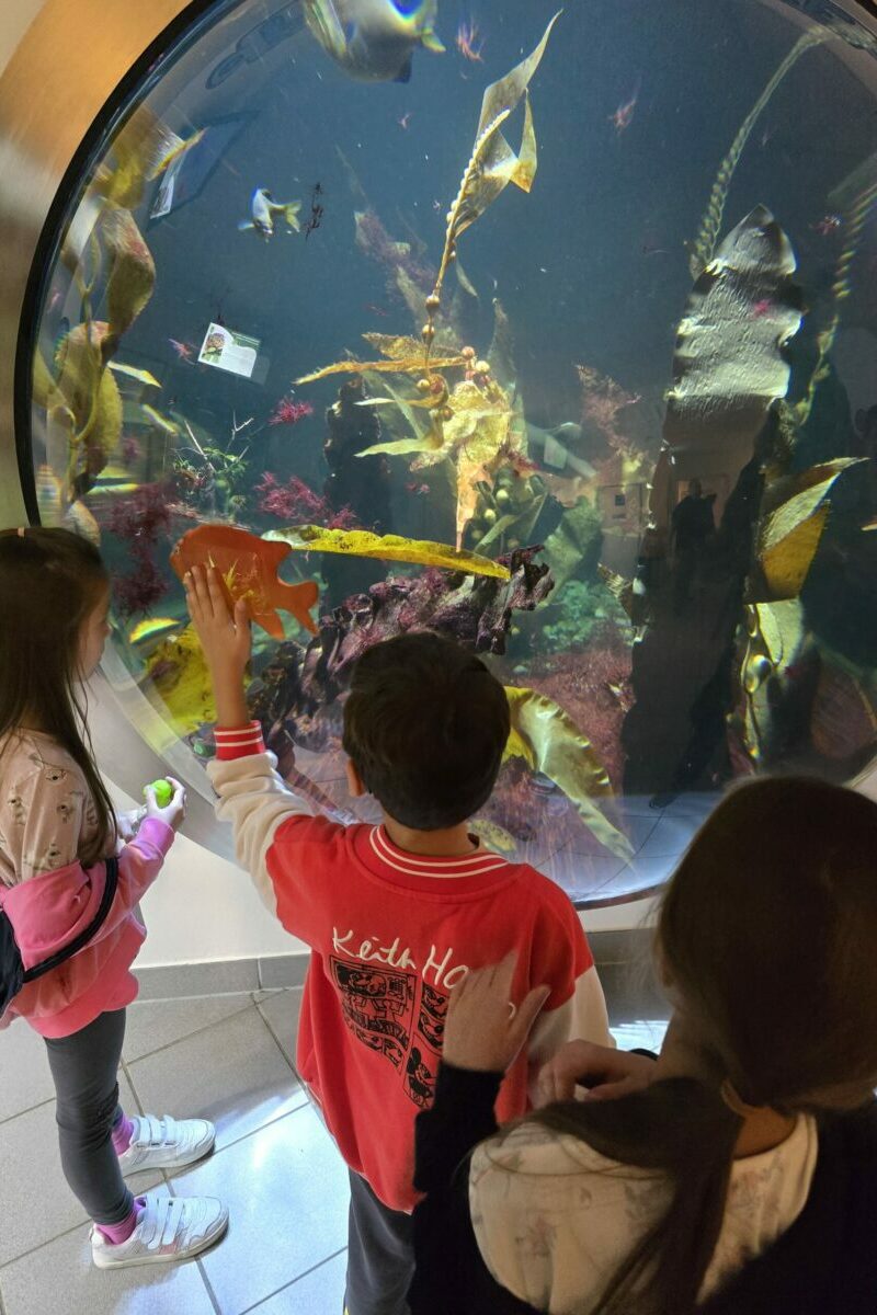 Bécs, családi utazás, gyerekprogramok, ikrek születésnapja, nagycsaládos kirándulás, Tenger Háza, Schönbrunni állatkert, Práter, Schmetterlinghaus, családi élmények