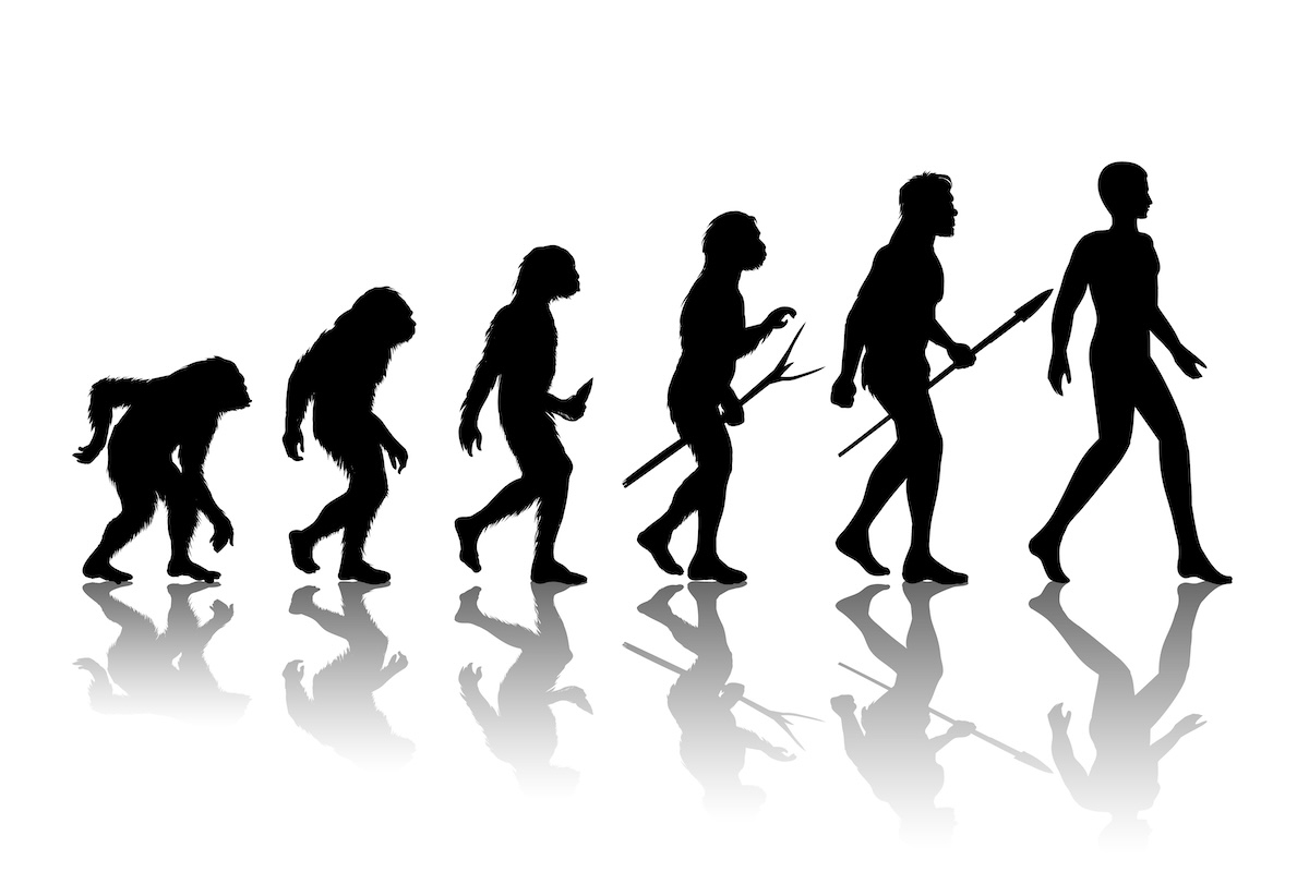 Miért élnek tovább a nők, mint a férfiak? – a válasz az evolúcióban rejlik