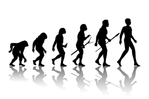 Miért élnek tovább a nők, mint a férfiak? – a válasz az evolúcióban rejlik