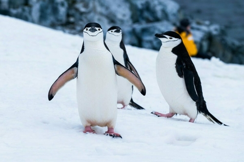 A luxus új arca: 6 úti cél 2026-ra, ahol a jelenlét számít