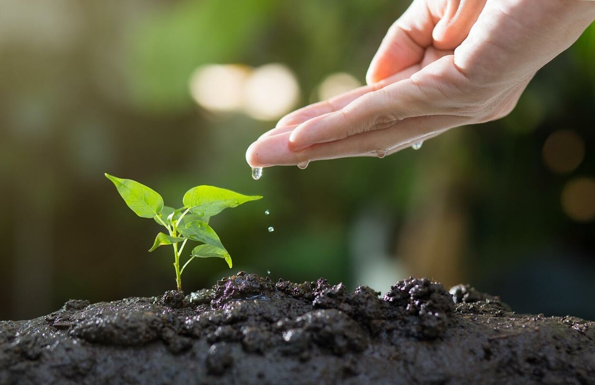 A biostimulátorok szerepe a modern mezőgazdaságban