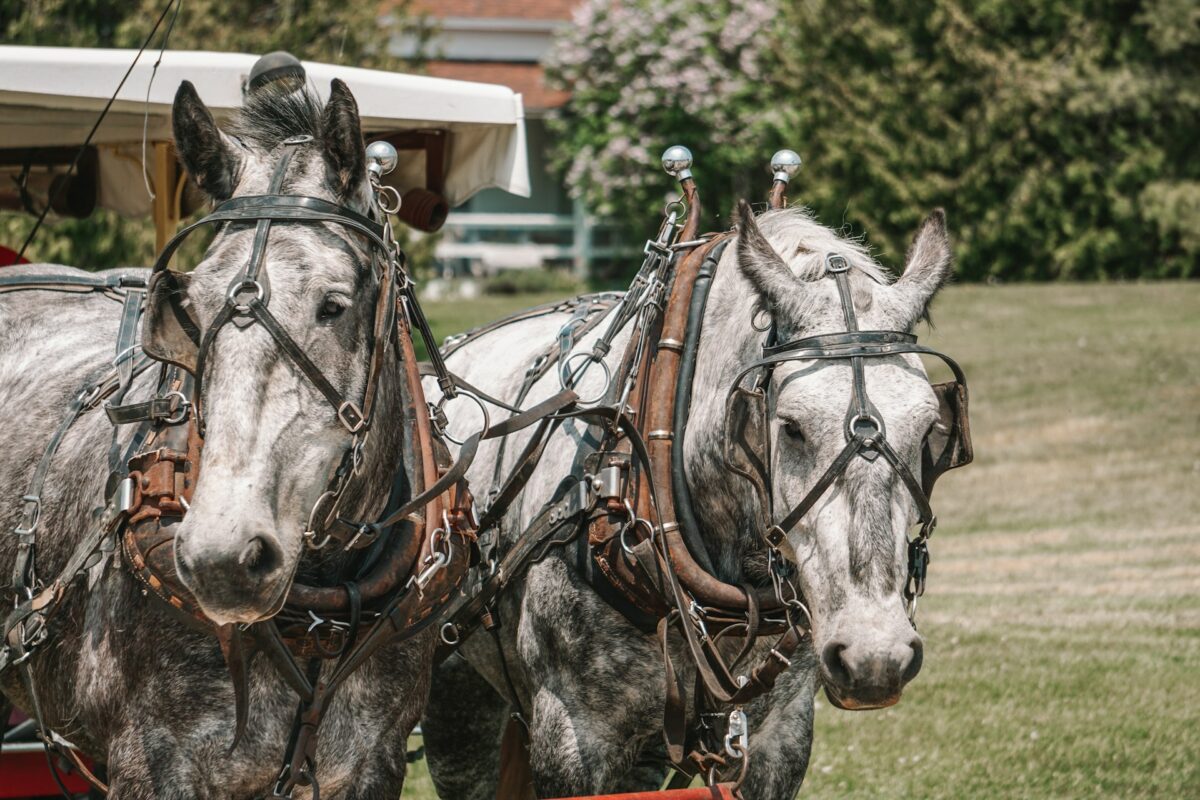 Mackinac Island, autómentes sziget USA, Michigan látnivalók, Detroit autóipar, Huron‑tó szigetek, lovas közlekedés sziget, amerikai történelmi helyszínek, Grand Hotel Michigan, anishinaabe kultúra, Michigan utazás tippek
