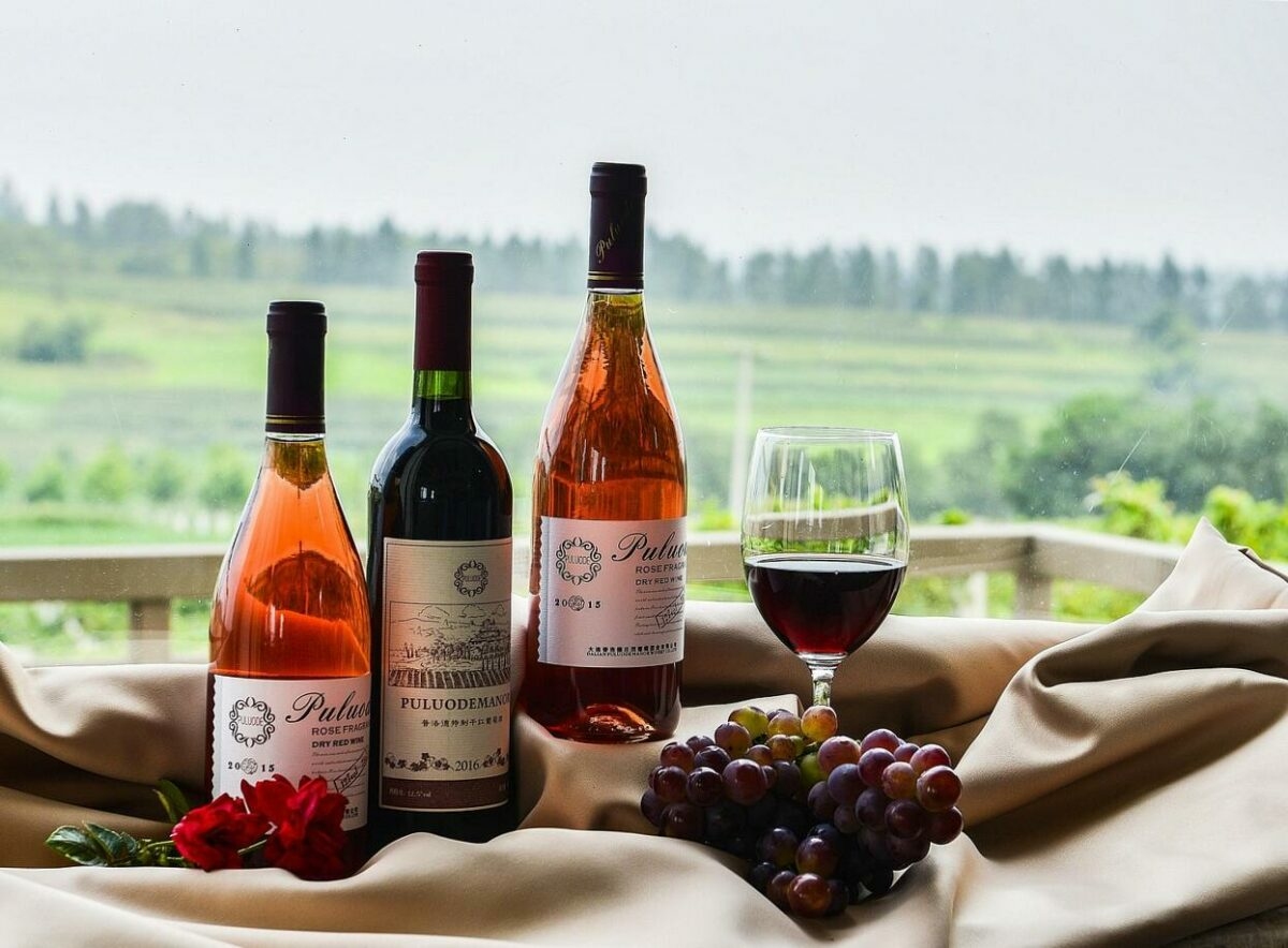 Dél-afrikai borok: az ízek és stílusok találkozása