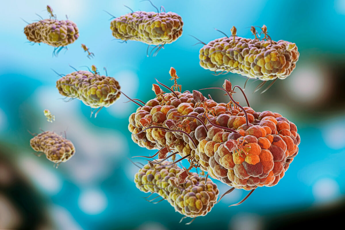 Miért fontosak a vírusok a mikrobiom egészséges működéséhez?