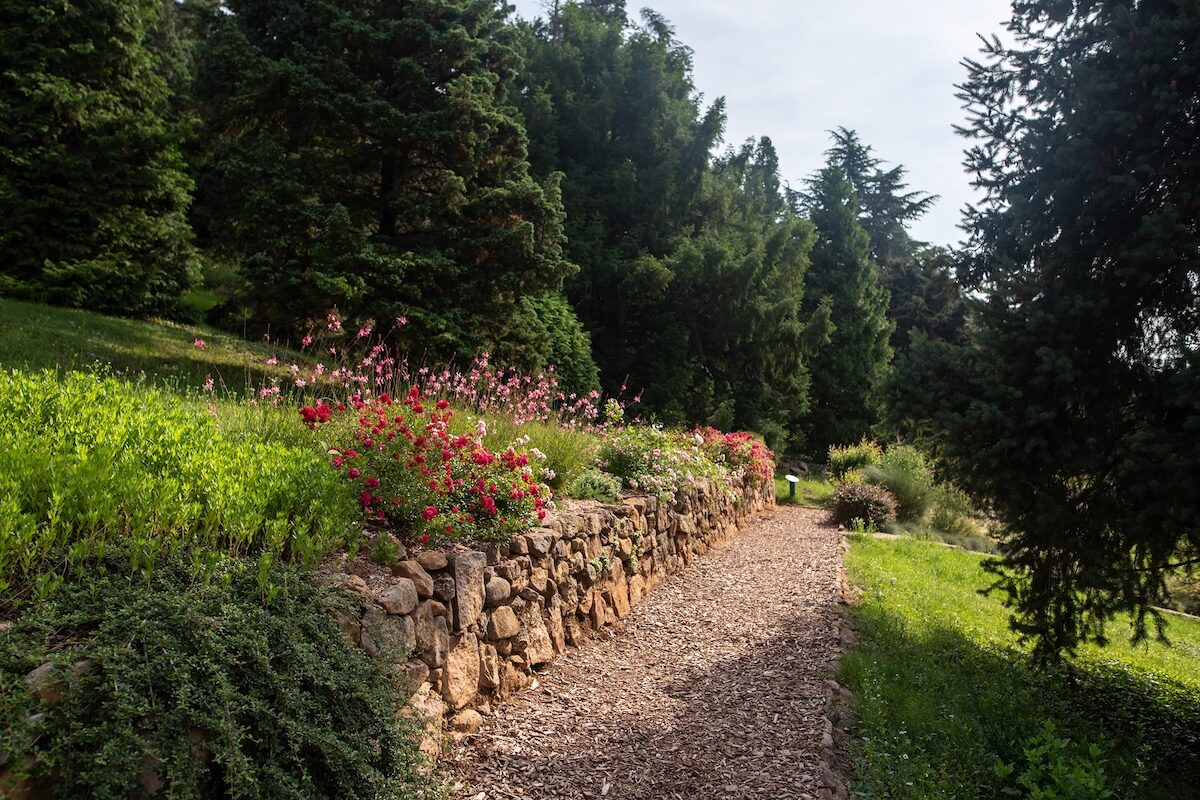 arborétum, tavaszi kirándulás, botanikus kert, kirándulás tippek, Alcsúti Arborétum, Szarvasi Arborétum, Jeli Arborétum, rododendron virágzás, Vácrátóti Botanikus Kert, családi programok