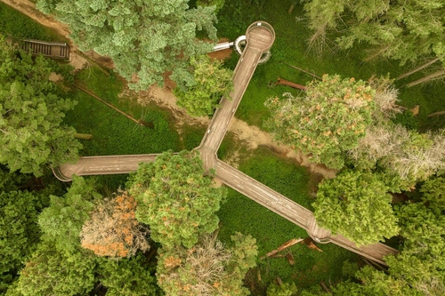 5+1 hazai arborétum, amelyet tavasszal mindenképp meg kell látogatnod