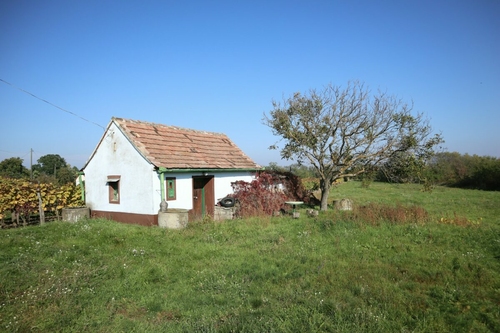 Most a zártkertek piacát pörgette fel az Otthon Start