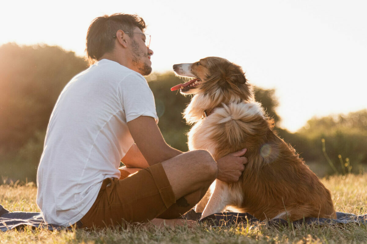 Nem buta a kutyád – lehet, hogy csak félreérted