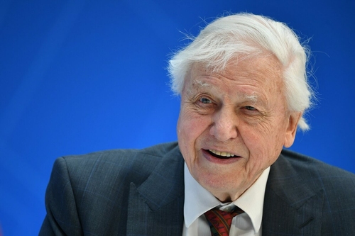 David Attenborough ma 100 éves – a világ együtt ünnepli a természetfilmek legendáját